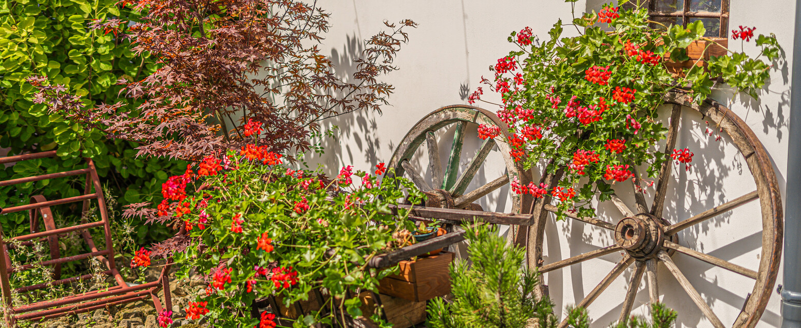 foto exterier zari (40)